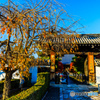 妙顕寺山門