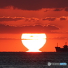 初達磨夕日