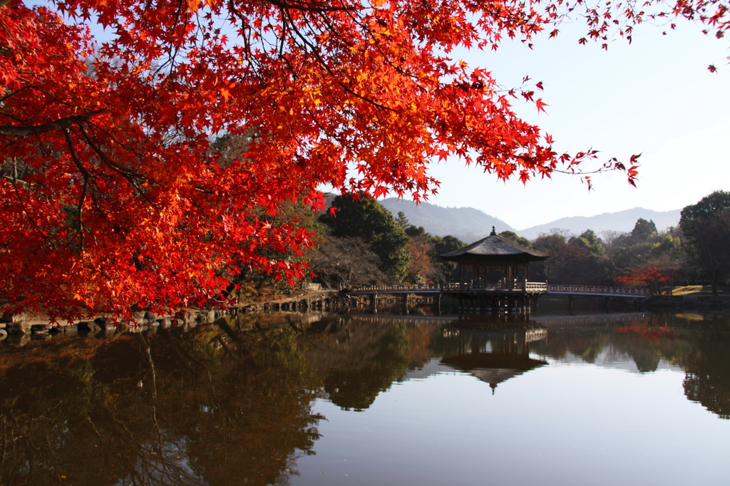 浮見堂の紅葉