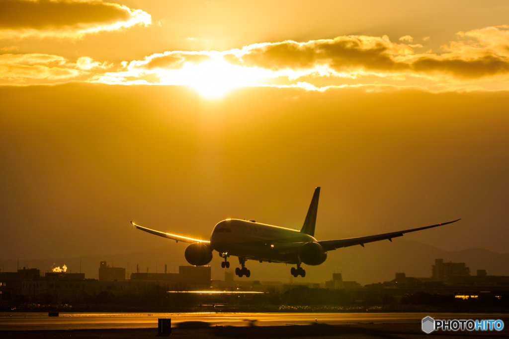 朝活一番機✈JA819A（2/1)