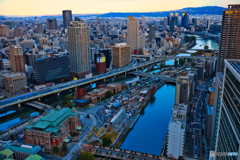 師走の中之島公園