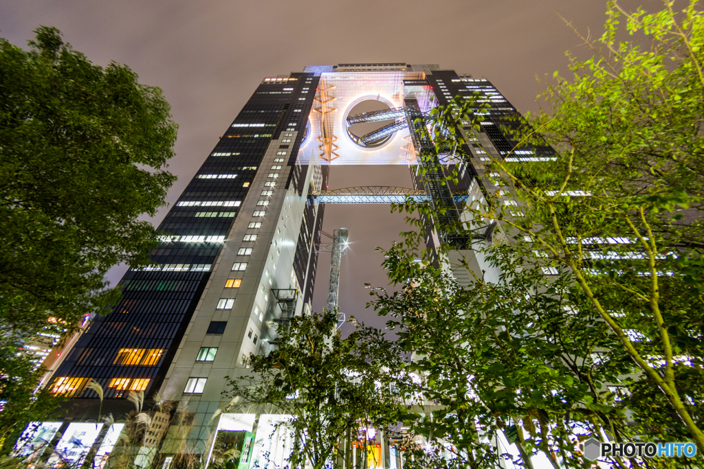 スタンド・アップ