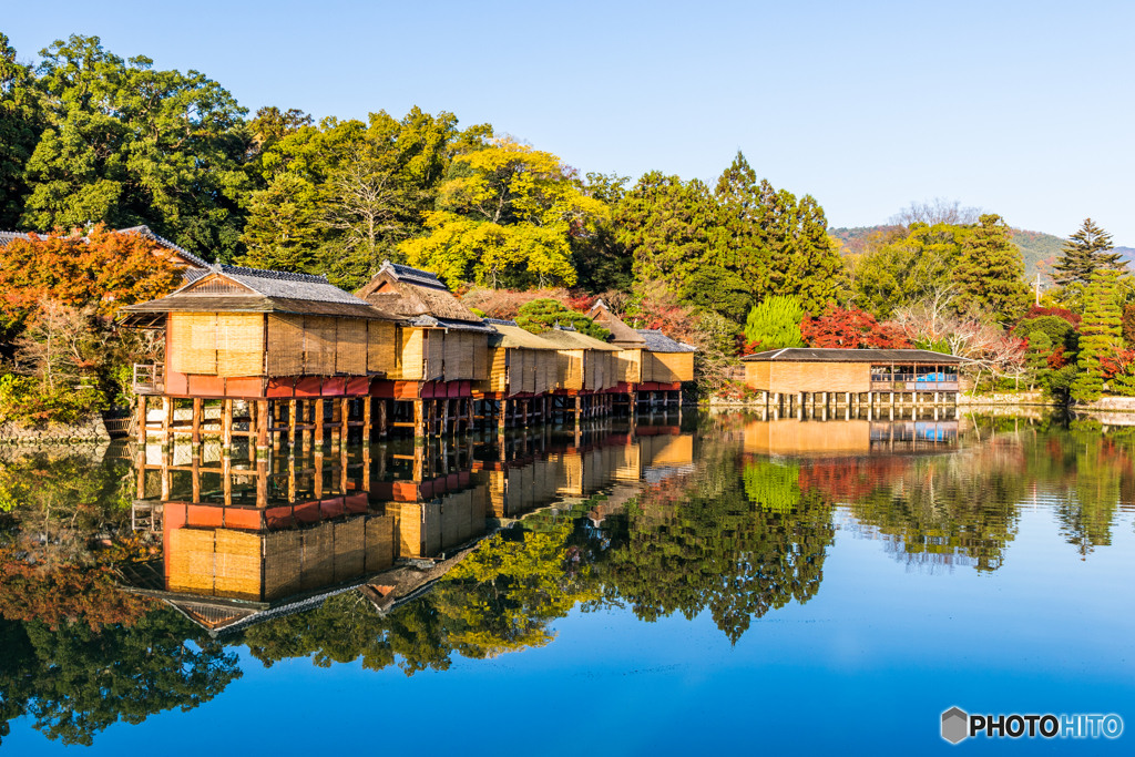 八条ヶ池の秋