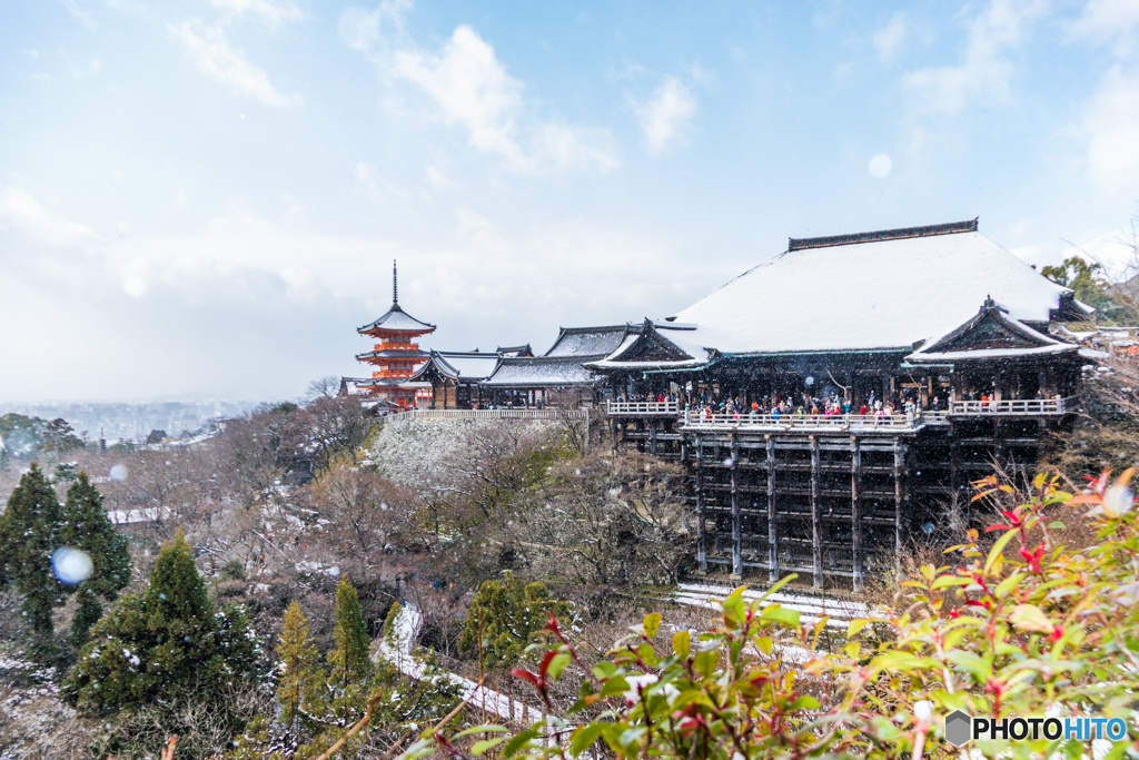 雪降る清水寺