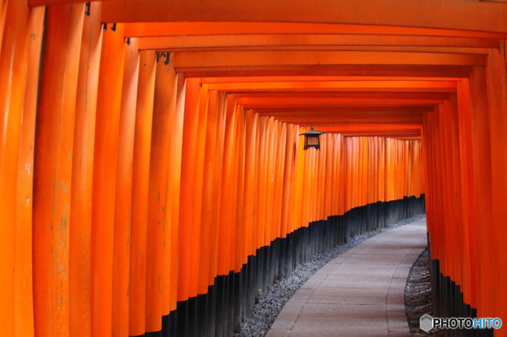 千本鳥居ロード