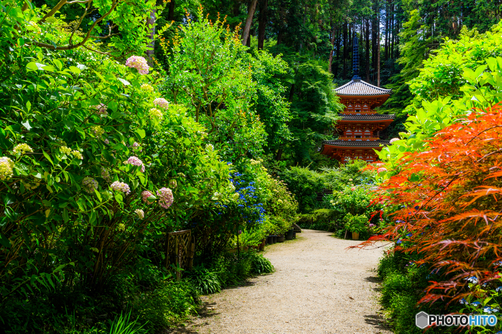 晴天の岩船寺