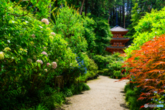 晴天の岩船寺