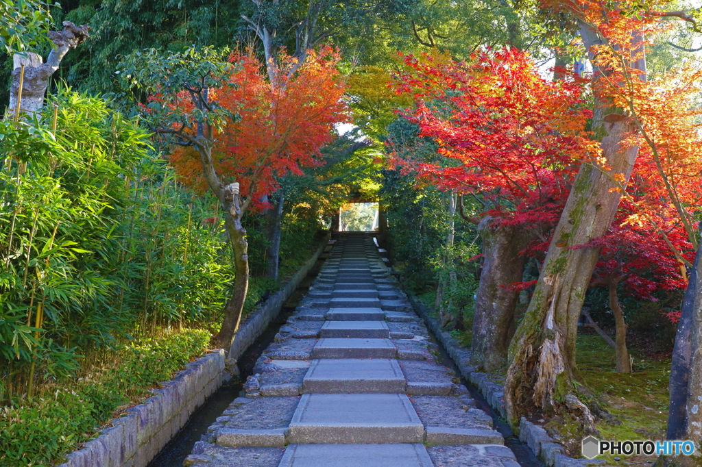 紅葉する台所坂