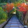 紅葉する台所坂