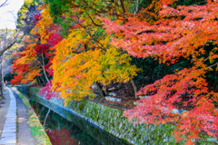 哲学の道・晩秋