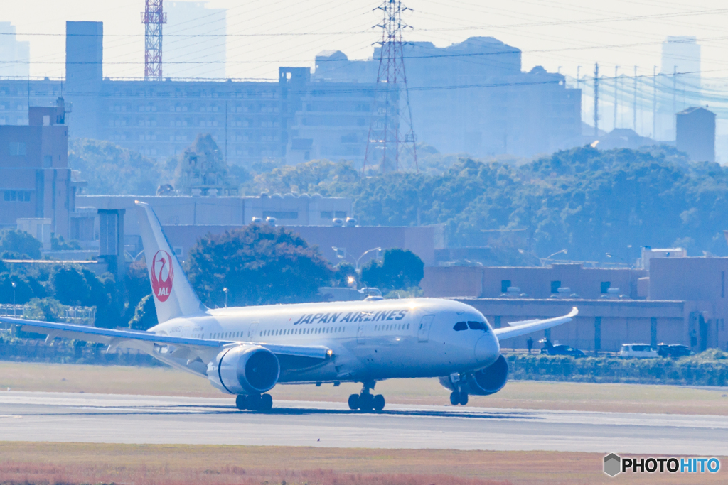 ししはち来阪