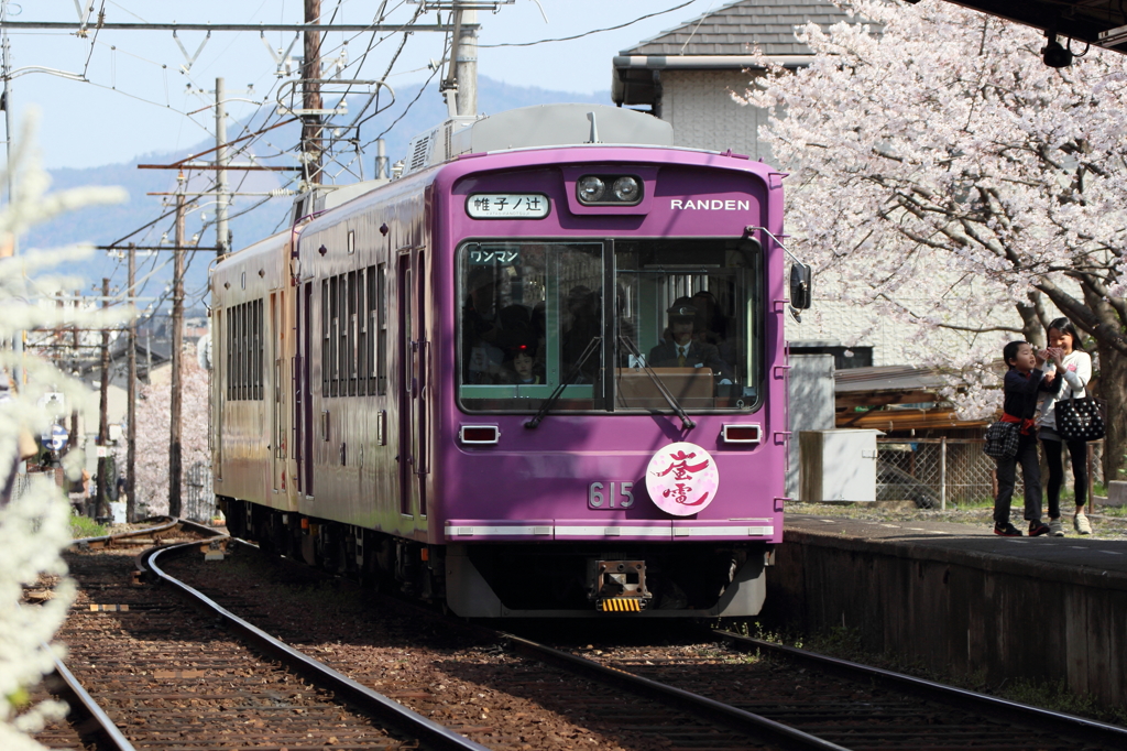 桜・姉弟の笑顔