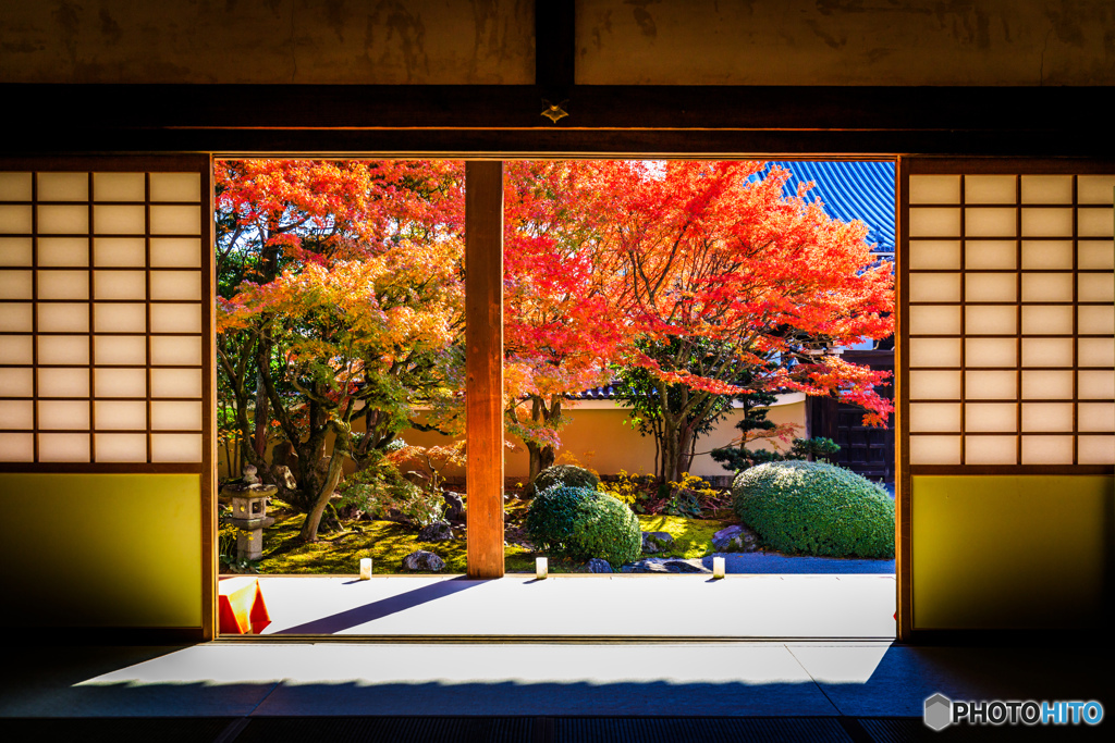 額縁紅葉・妙顕寺