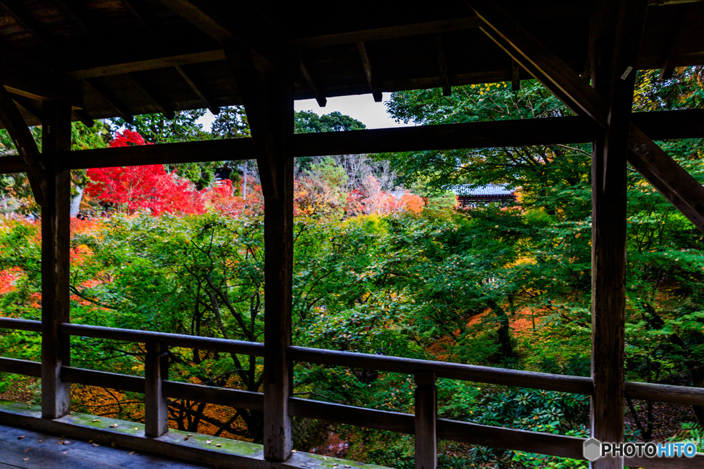 臥雲橋の秋
