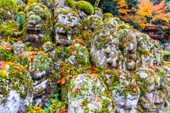 愛宕念仏寺の秋