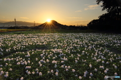 畝傍山の光条