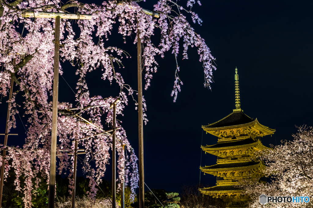 東寺のライトアップ
