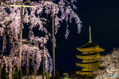 東寺のライトアップ
