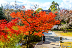 紅葉下の待ち女