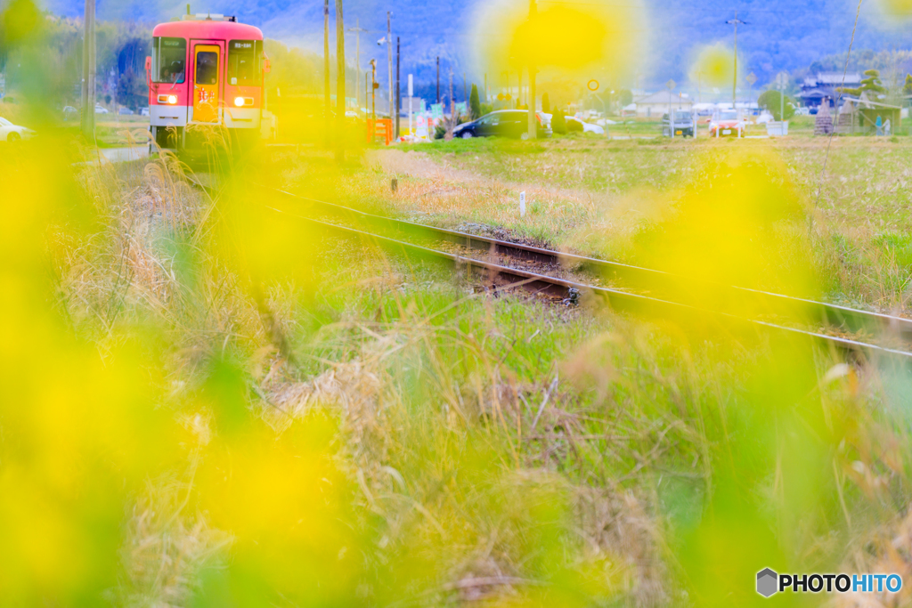 ほんわか鉄道