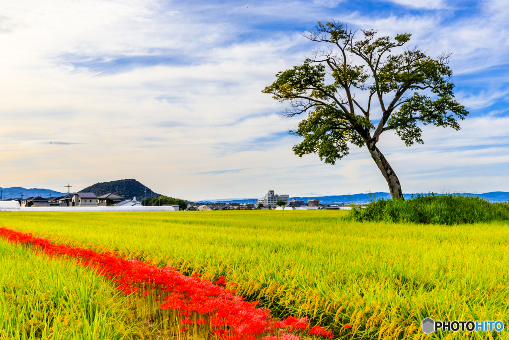 初秋の古宮土壇