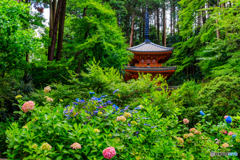 初夏の岩船寺