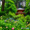 初夏の岩船寺