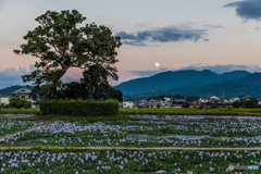 いにしえの夕景