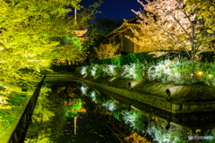 続・もうひとつの東寺