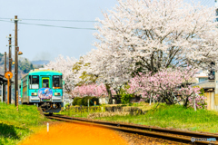 長駅のリフレクター