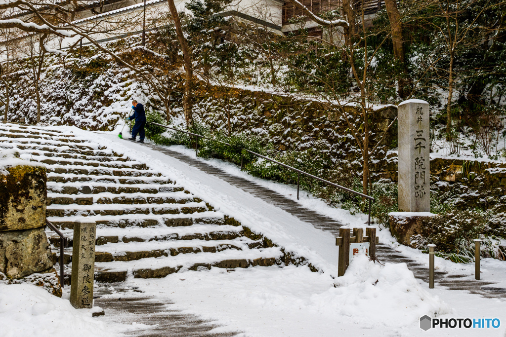 朝の雪掻き