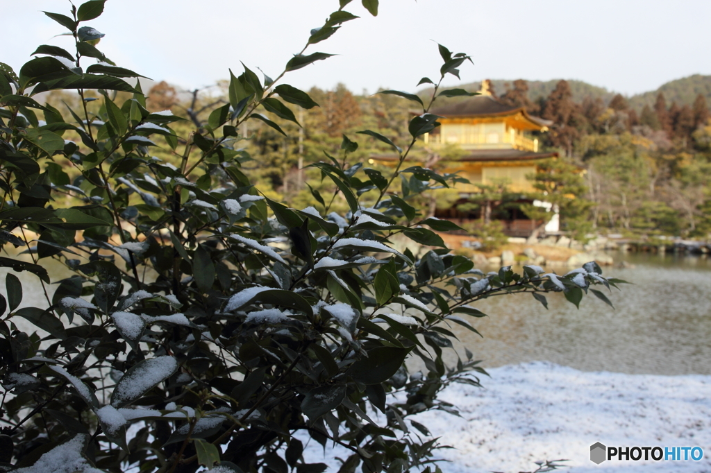 冬の金閣寺