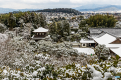 東山の雪景色