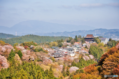 金峯山寺桜道