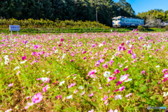 コスモスパーク鉄道