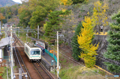 秋の二軒茶屋駅