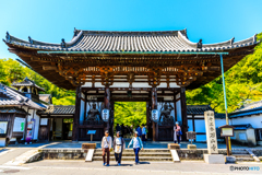 初夏の石山寺