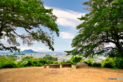 初夏の甘樫丘