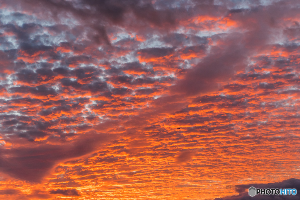 羊雲の夕翔