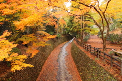 天満宮のもみじ苑