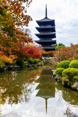 東寺リフレクション