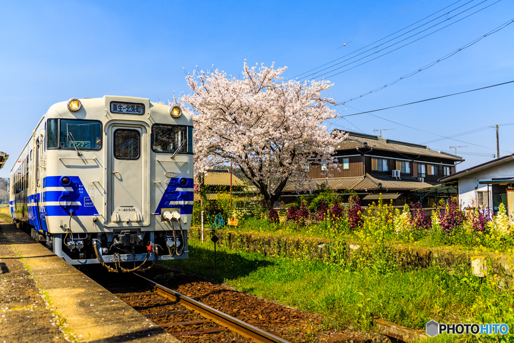 春色の線路を駆ける