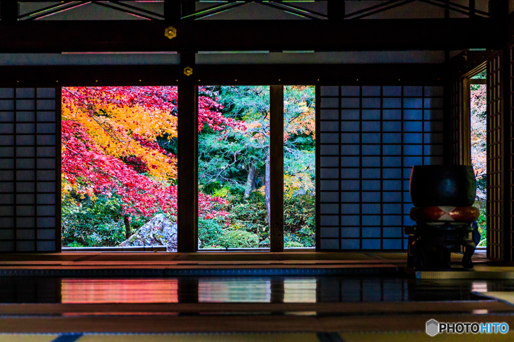 南禅院の額縁紅葉