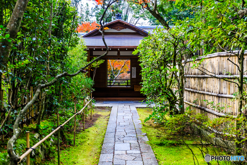 京都紅葉への導き