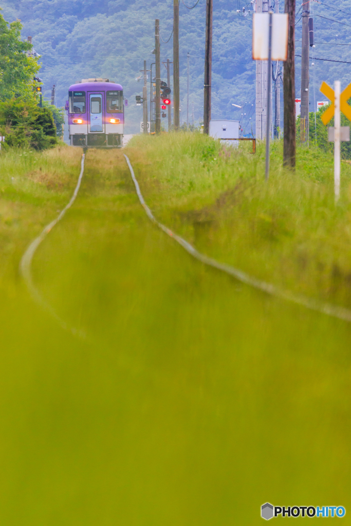 初夏の北条鉄道