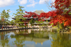 東大寺の紅葉