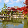 東大寺の紅葉