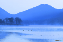 千丈寺池の朝