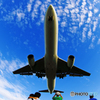 秋空に誘われて