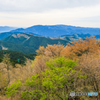 金剛山の眺望